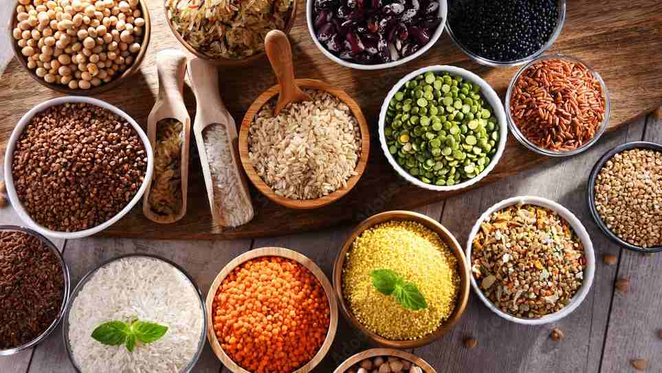 Dürfen Hunde Bohnen essen? Richtige Zubereitung + Risiken